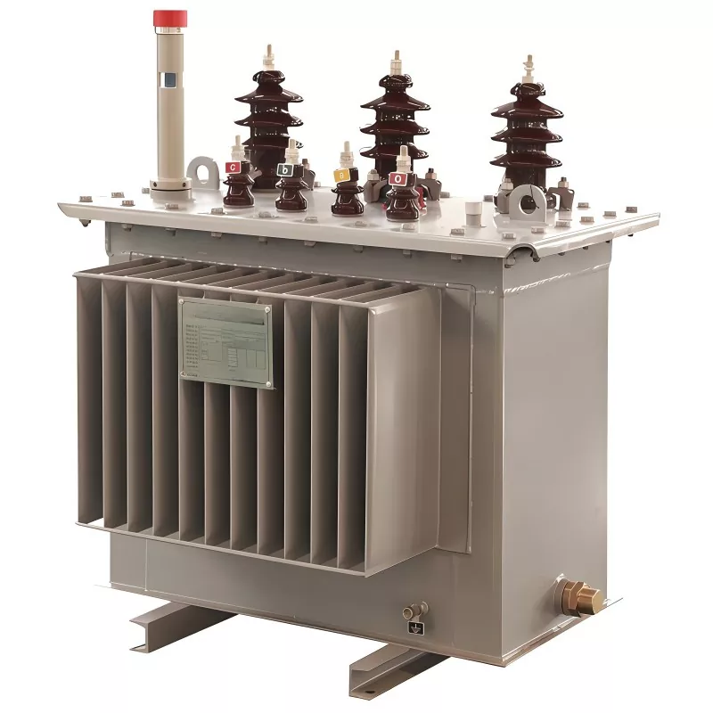 100KVA 11KV Oljenedsänkt transformator